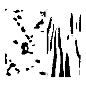 Side by side black and white images showing two different patterns of micro-computed tomography cross-sections of the foam demonstrate samples with low (left) and high (right) anisotropy. 