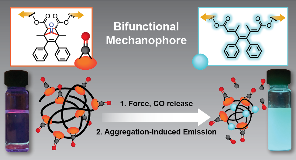 An illustration of the experiment.