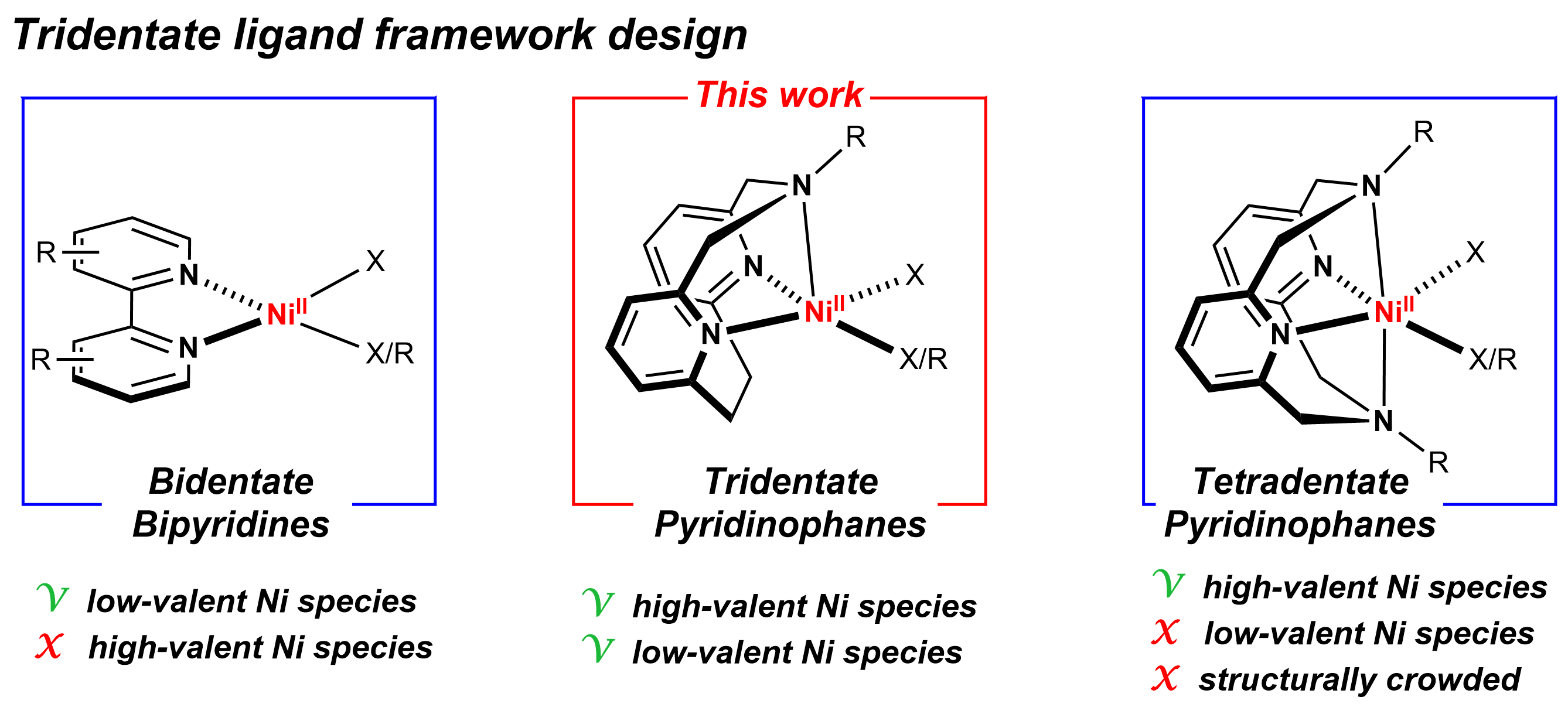 Graphic showing the various ligands.