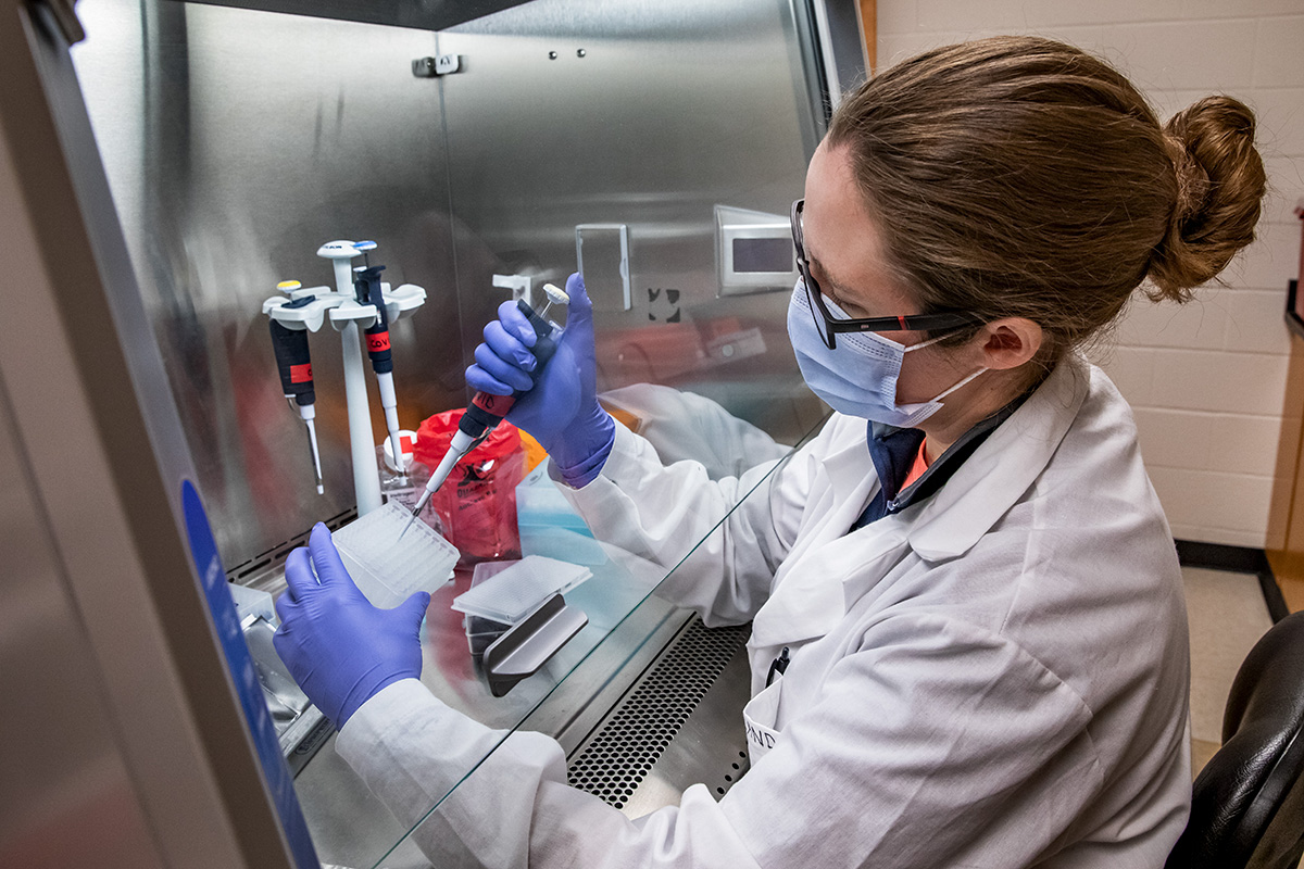 A worker in the lab wearing a white lab coat and safety gear, including blue gloves, processes COVID saliva test samples. 