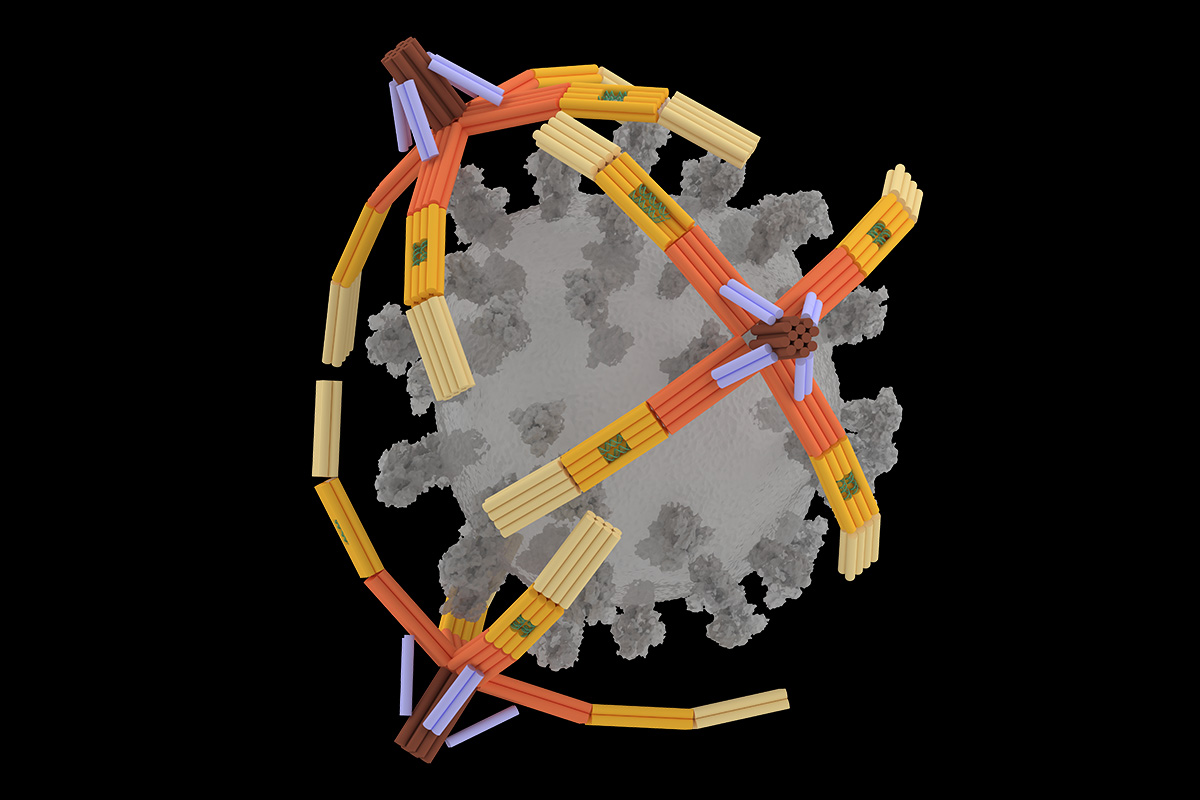 Artist’s rendering showing three orange-colored “NanoGripper” hands wrapped around a gray shape representing a COVID-19 virus.