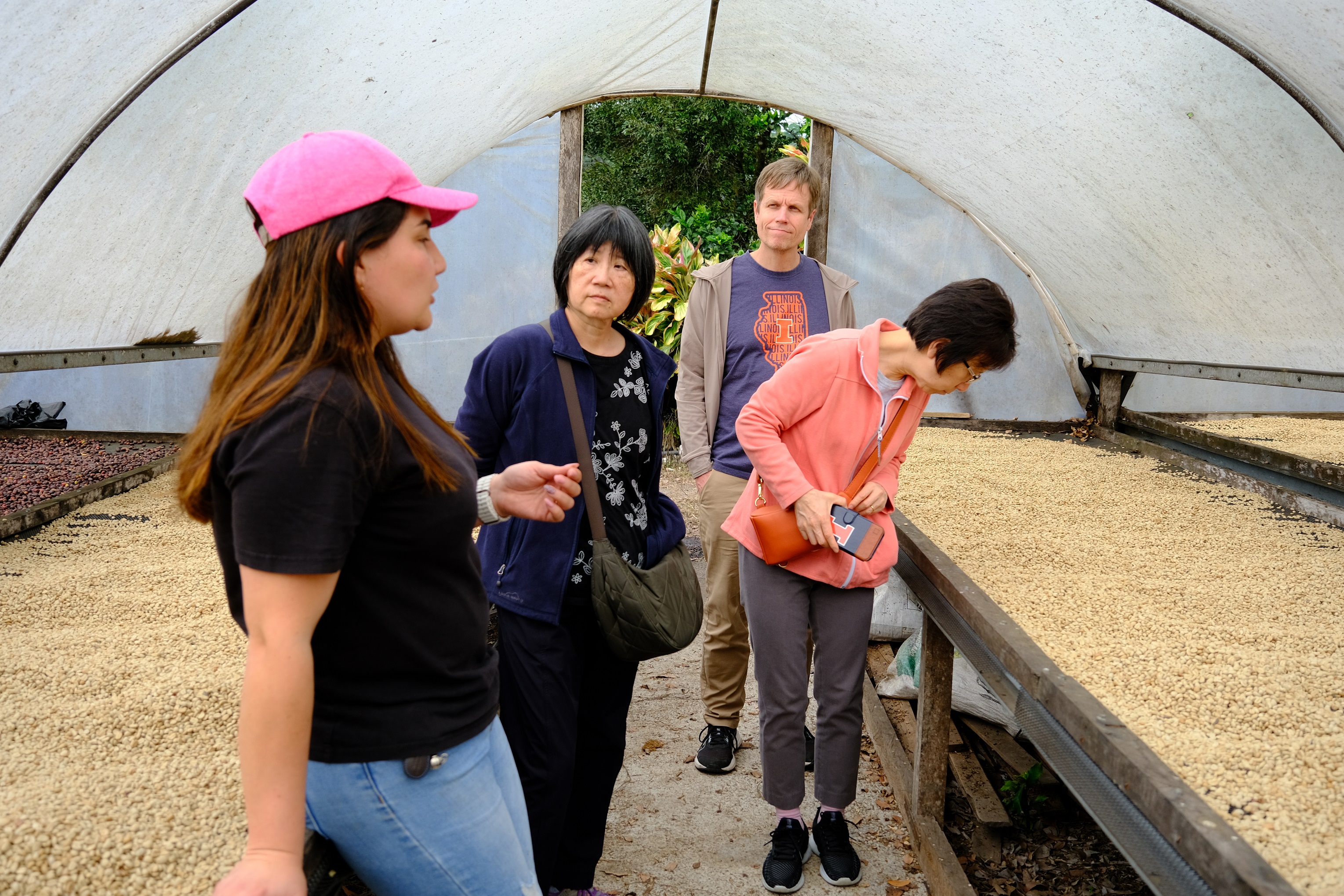 Four people walking through a coffee drying hut looking at drying coffee beans