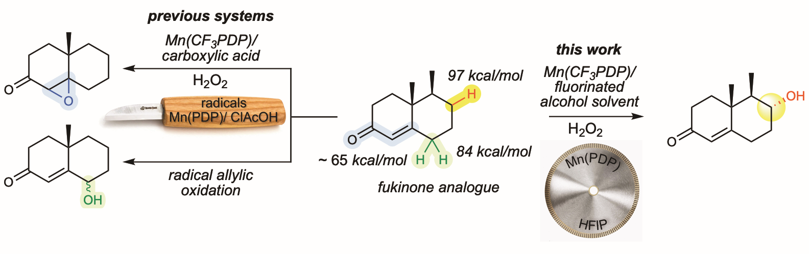 Graphic summarizing the chemistry presented in the research paper