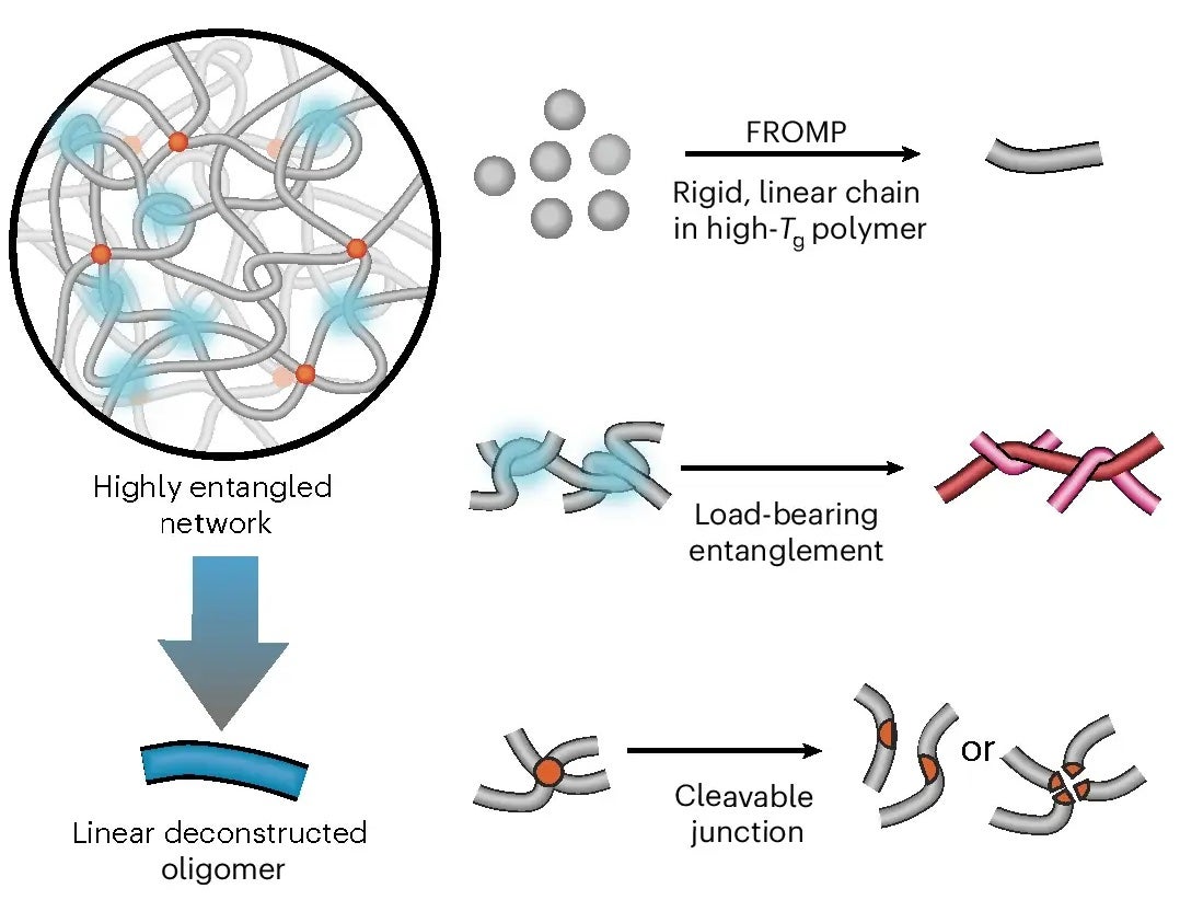 Graphic illustrating main ideas of the research