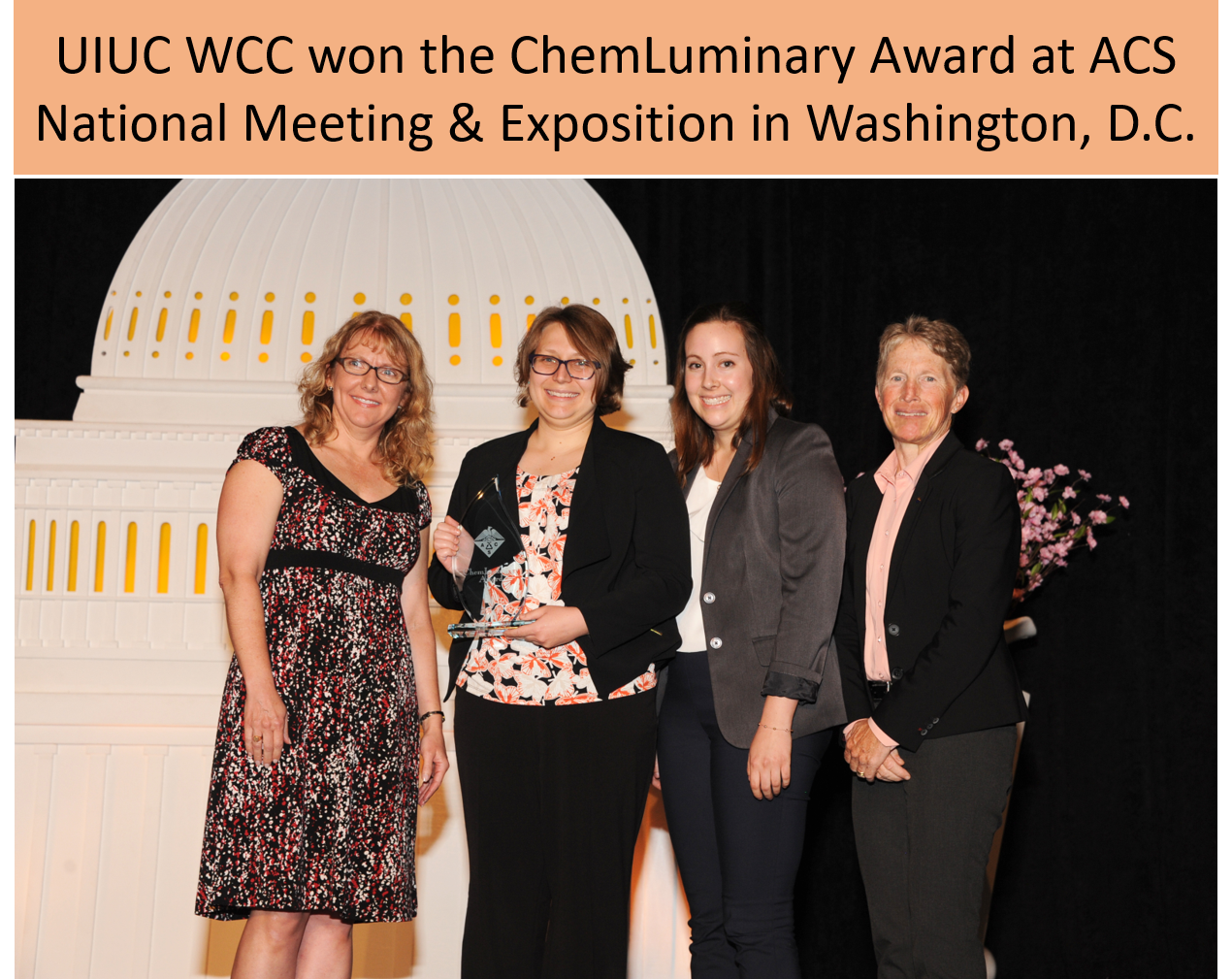 Chem Luminary Award ACS