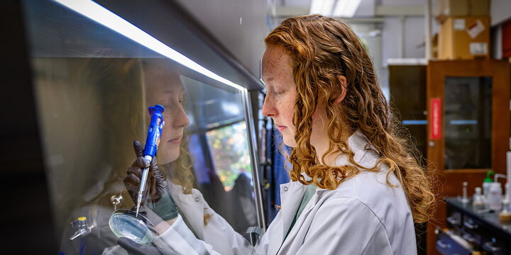 Chemist in the lab working with petrie dish