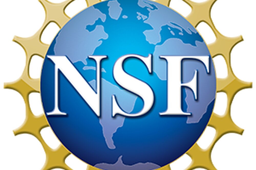 NSF logo which is a blue graphic of the globe and the NSF acronym across it in white letters