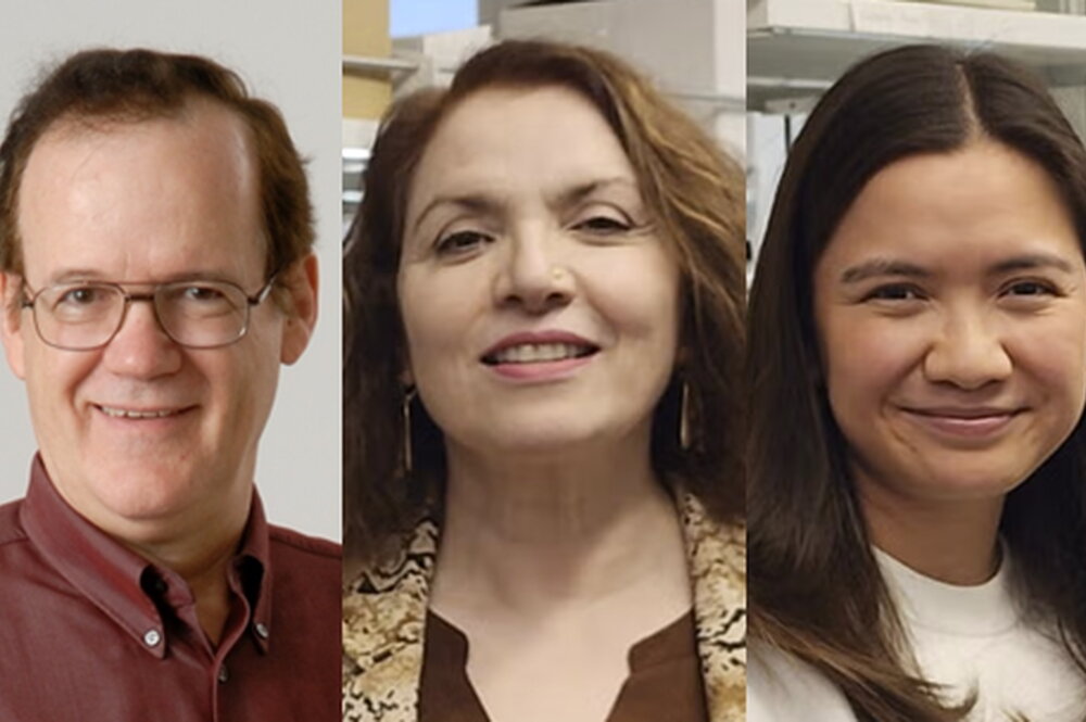Three headshots of researchers