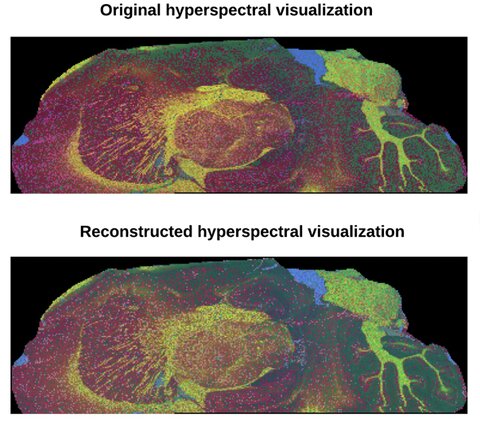 Image showing hyperspectral visualization with data from a standard 9-hour experiment compared with hyperspectral visualization with data from a proposed 1-hour experiment.