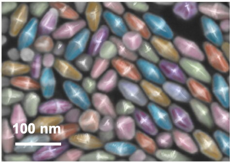 A false colored SEM image of gold nanoparticles in a bipyramidal shape. 