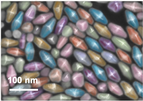 A false colored SEM image of gold nanoparticles in a bipyramidal shape.