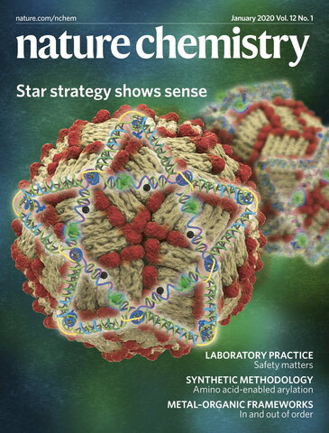 Image of the cover of Nature Research, showing an image depicting an artistic representation of star-shaped DNA nanostructures binding to the surface of dengue virus particles