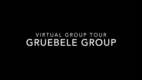 Thumbnail of the Gruebele Group tour