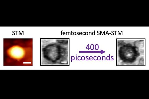 The ordinary scanning tunneling microscopy image of a carbon dot on the left shows only a featureless dot. The time-resolved single molecule absorption STM on the right reveals that laser excitation is initially spread over the whole carbon dot, but within a few picoseconds the excitation migrates to a highly localized area on the surface. The white scale bar is 5 nanometers long.