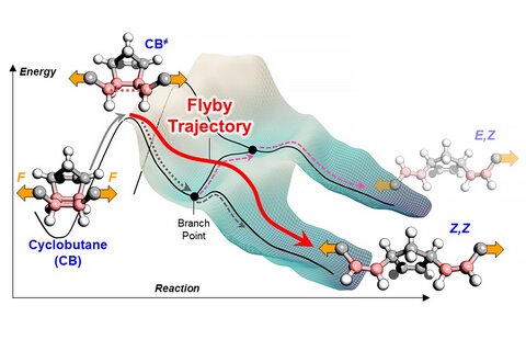 An illustration showing the movement of a molecule across a potential energy surface in the way hikers follow the contour map of mountains and valleys along a trail. When a mechanical force is applied, energy increases and the molecule becomes excited, jumps the initial energy barrier and has enough energy to continue its “flyby trajectory” over the subsequent energy barrier.  