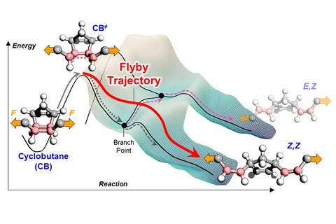 An illustration showing the movement of a molecule across a potential energy surface in the way hikers follow the contour map of mountains and valleys along a trail. When a mechanical force is applied, energy increases and the molecule becomes excited, jumps the initial energy barrier and has enough energy to continue its “flyby trajectory” over the subsequent energy barrier.