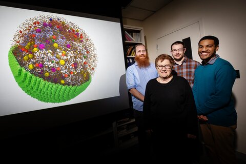 Researchers standing to the right of a large white board showing an illustration of the cell model they built