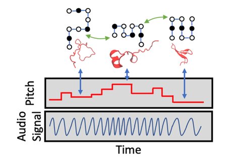 A graphic from the journal article illustrates the process of a protein (the chain of spheres at the top) folding, unfolding or misfolding as it moves around. The structural parameters of the protein are coded into sound, producing a variable-pitch sound waveform, for example. Timbre, pan, loudness and other parameters can be adjusted based on data input to represent different aspects or qualities of a protein.