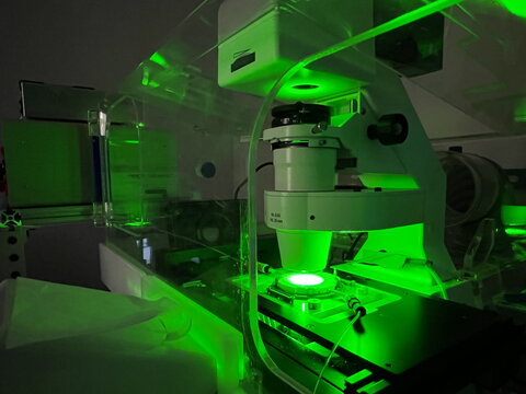 A customized microscope in the Han lab emits green light while operating.
