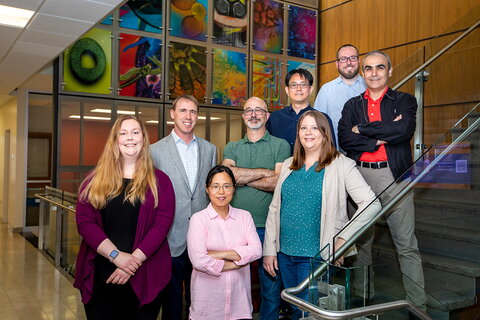 Group photo of the research team members standing side by side on steps in a building