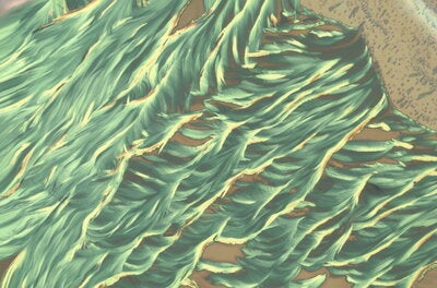 Microscopy image appearing like green waves on a beach 