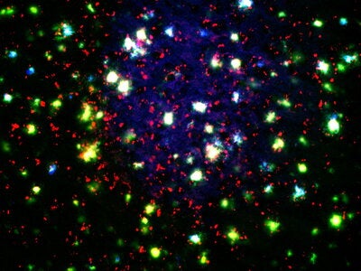 Colorful specs of random sizes on a black background
