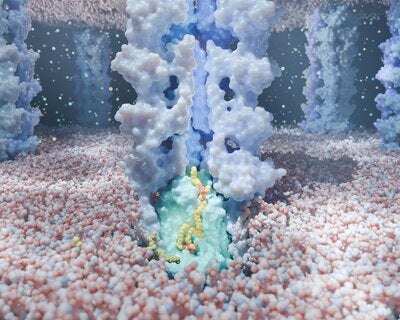 Illustration of molecules forming light blue structural columns 