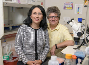 Sandra L. Rodriguez-Zas and Jonathan V. Sweedler in a laboratory