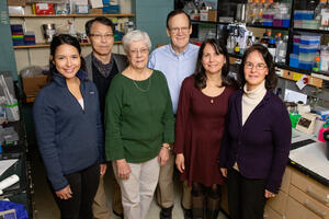 Researchers, from left, Valeria Sanabria Guillen, Sung Hoon Kim, Kathy Carlson, John Katzenellenbogen, Yvonne Ziegler, and Benita Katzenellenbogen 
