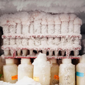 Photo of lab items frosted over in a freezer 