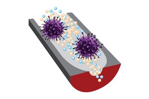 Graphic illustration of the sensor, which is a rectangular shape with a curved bottom like half a cylinder, with purple colored virus molecules sitting on top of the sensor. 