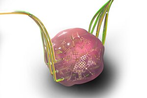 Graphic illustration of an instrumented tissue mimic that looks like a pink spherical shape with green wing-like structures extending from opposite sides. 