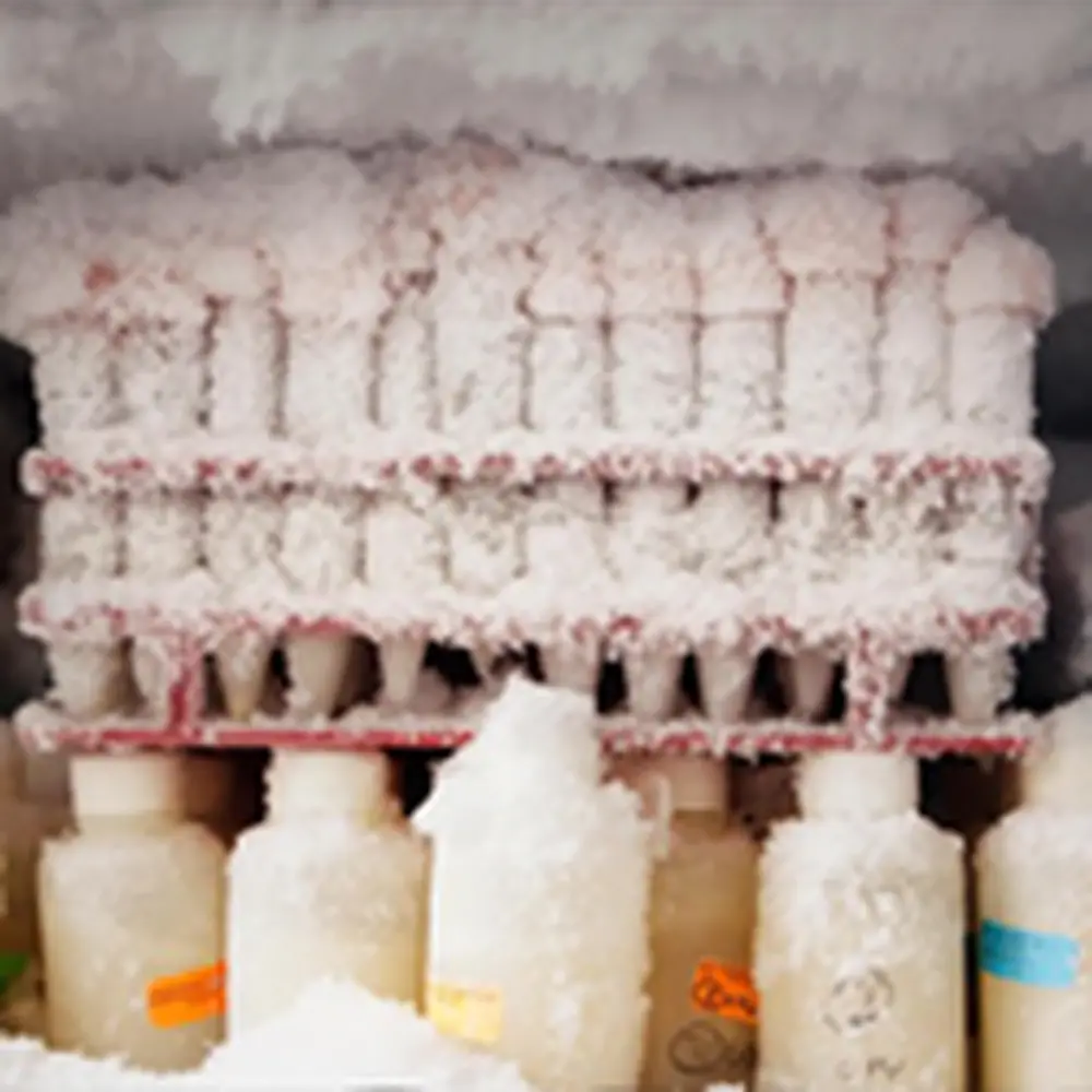 Photo of lab items frosted over in a freezer