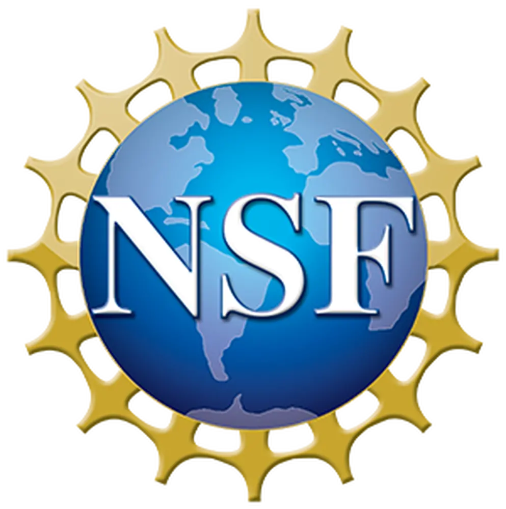 NSF logo which is a blue graphic of the globe and the NSF acronym across it in white letters