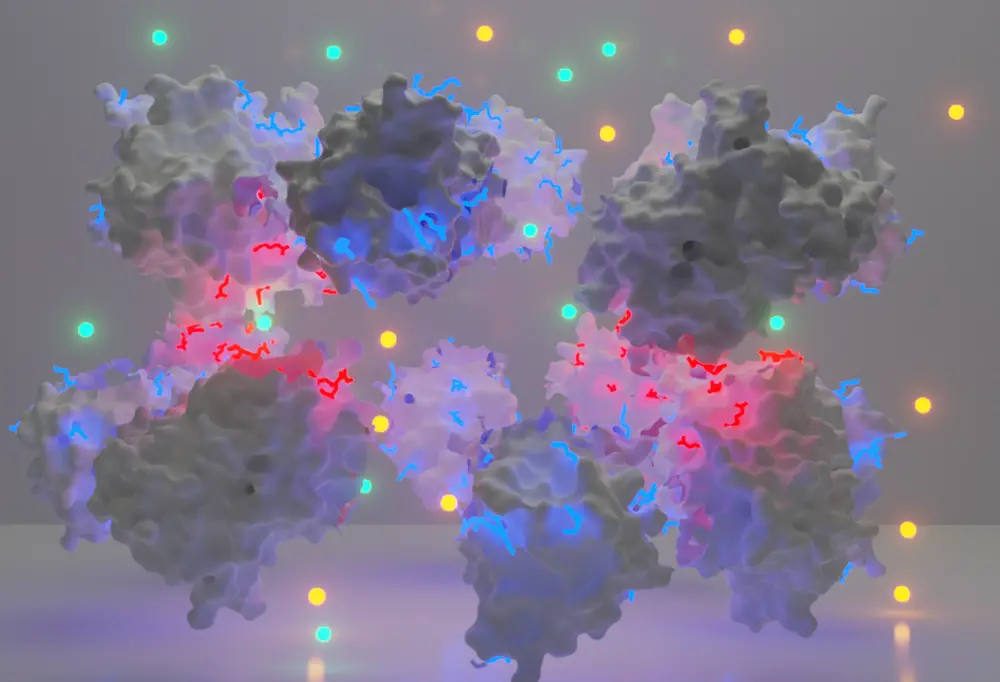 ACS Central Science cover image Computer-assisted image showing dark blue and light red molecular structures of supercharged protein monomers (red, negative, and blue, positive) in the process of association to form a supercharged hexadecameric protein complex. Image rendered using Blender and PyMOL.