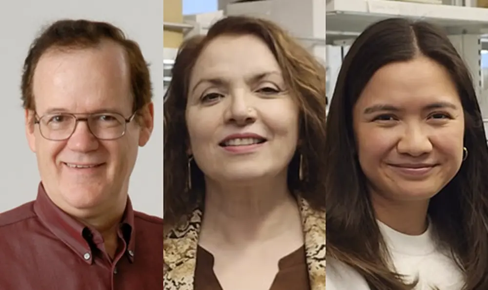 Three headshots of researchers