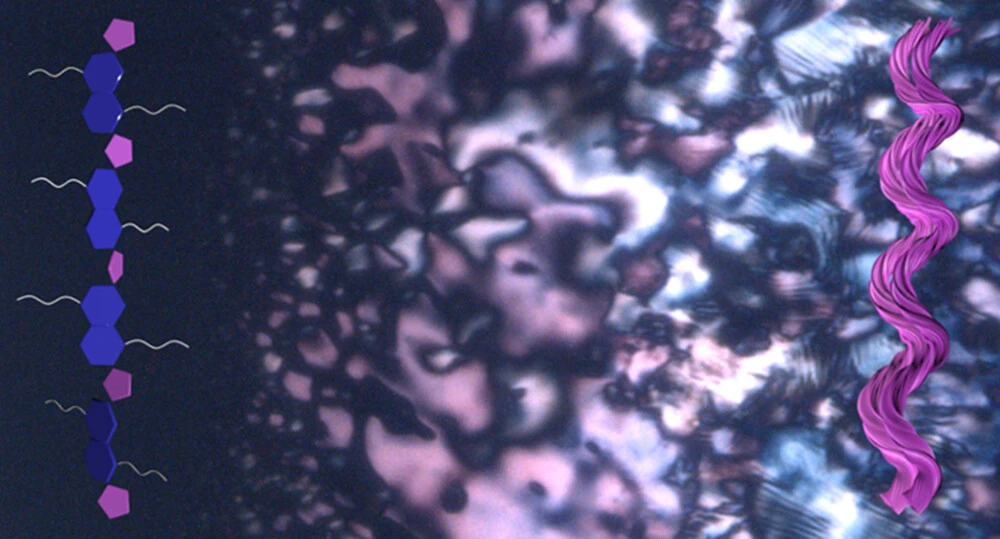 The image illustrates spontaneous chiral symmetry breaking in achiral/racemic conjugated polymers via liquid–liquid phase separation, showing evolution of lyotropic liquid crystal phases comprised of helical nanofibers. 