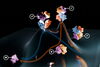 Illustration of protein disassembly